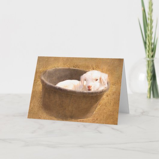 Carte Chèvre de bébé dans un seau Anniversaire (Devant)