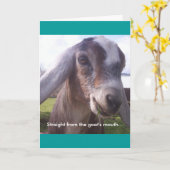 Carte Chèvre de Nubian (Fleur jaune)