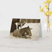 Carte Chèvre debout sur le cheval patient (Fleur jaune)