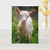 Carte Chèvre d'enfant (Fleur jaune)