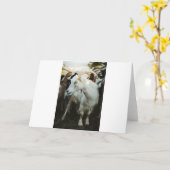 Carte Chèvre et chèvre (Fleur jaune)