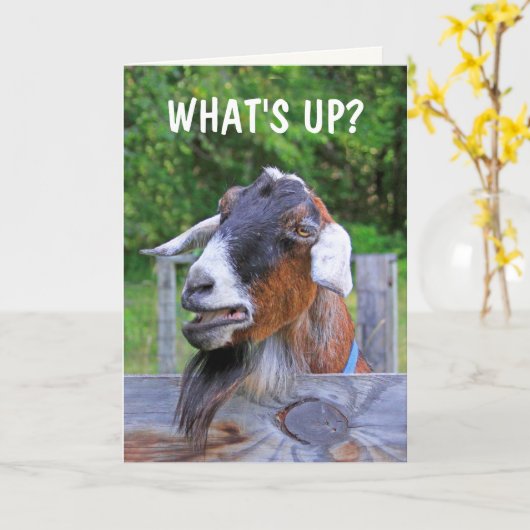 Carte Chèvre Pense À Toi (Fleur jaune)