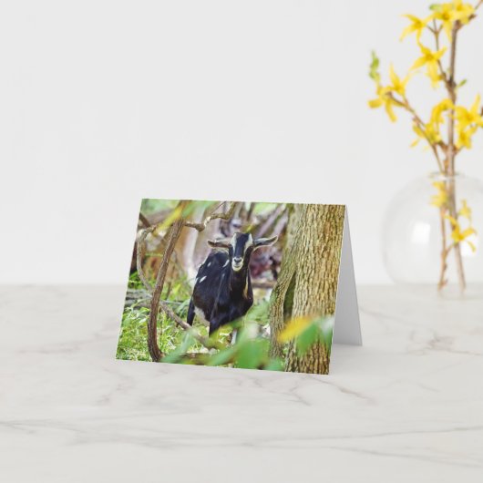Carte Chèvre souriante (Fleur jaune)