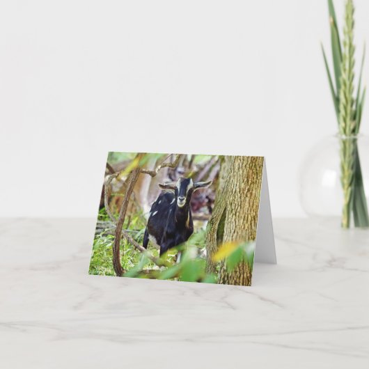 Carte Chèvre souriante (Devant)