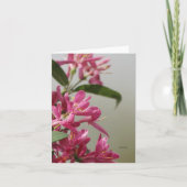 Carte Chèvrefeuille rose sauvage (Devant)