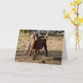 Carte Chèvres adorables (Fleur jaune)