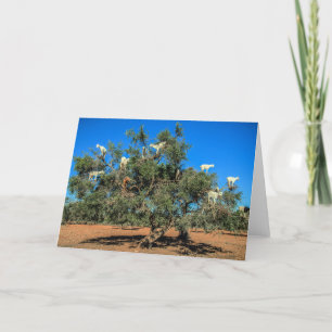 Carte Chèvres amusantes dans les arbres