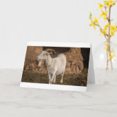 Carte Chèvres, chèvres et chèvres (87) (Fleur jaune)