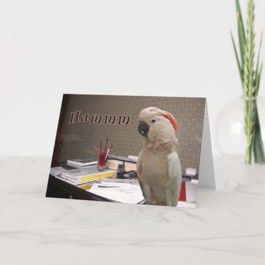 Carte Chewed Pencils (Devant)