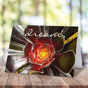 Carte Chic Black Orange Cactus Succulent Photo "Dream"