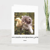 Carte Chichon chaton et bébé (Dos)