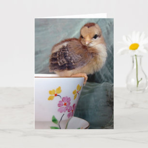 Carte Chick adorable sur un Teup par Angelandspot