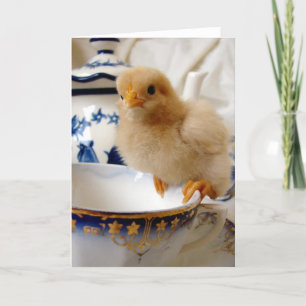 Carte Chick on a Teup by Angelandspot