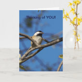 Carte Chickadee à cou noir, à vous de penser (Fleur jaune)