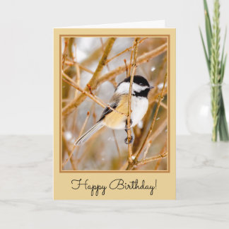 Carte Chickadee au plafond noir - Photo originale