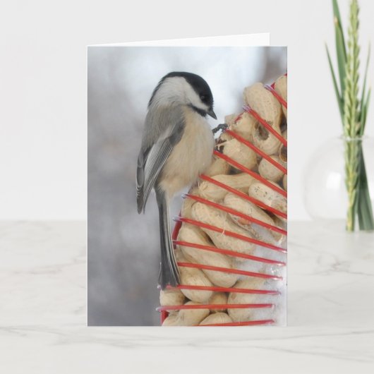 Carte Chickadee d'hiver (Devant)