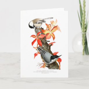 Carte Chickadee et Nuthatch