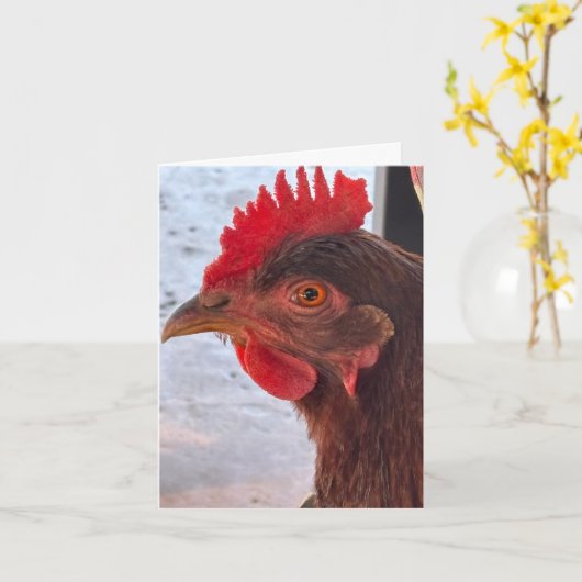 Carte Chicken Head Close-Up Blank Inside (Fleur jaune)