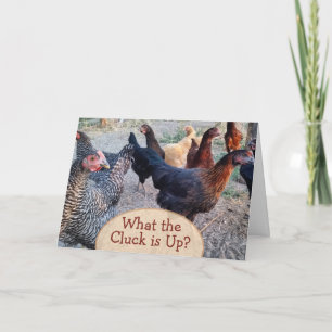 Carte Chickens What's Up Funny Humour Card