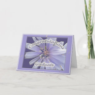Carte Chickory Félicitations Graduate Card