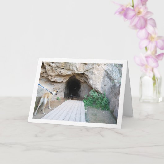 Carte Chien à Cave (Orchidée)