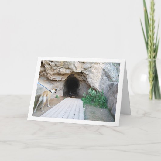 Carte Chien à Cave (Devant)