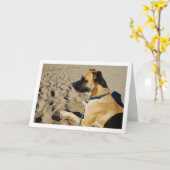 Carte Chien à la plage (Fleur jaune)