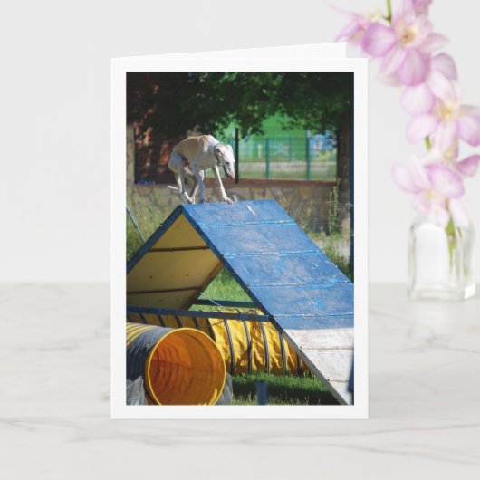 Carte Chien à l'école de dressage (Orchidée)