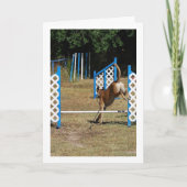 Carte Chien à l'école de formation (Devant)