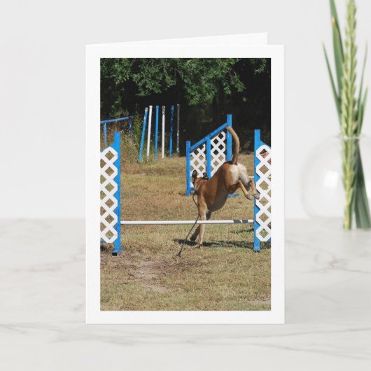 Carte Chien à l'école de formation (Devant)