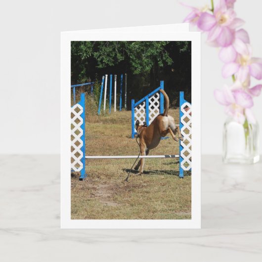 Carte Chien à l'école de formation (Orchidée)