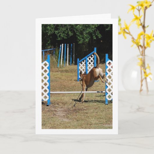 Carte Chien à l'école de formation (Fleur jaune)