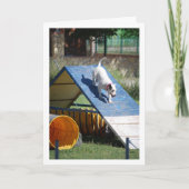 Carte Chien à l'école de formation (Devant)