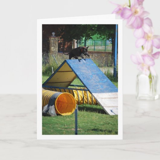 Carte Chien à l'école de formation (Orchidée)