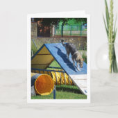 Carte Chien à l'école de formation (Devant)