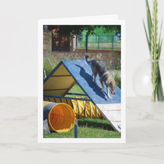 Carte Chien à l'école de formation (Devant)