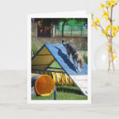 Carte Chien à l'école de formation (Fleur jaune)