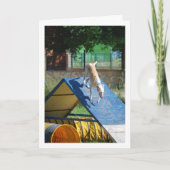 Carte Chien à l'école d'entraînement (Devant)