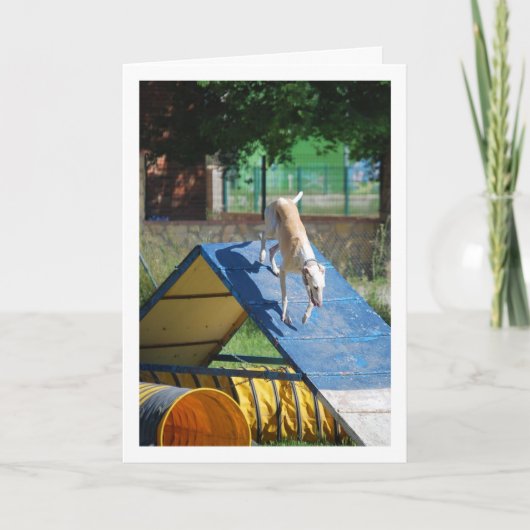 Carte Chien à l'école d'entraînement (Devant)