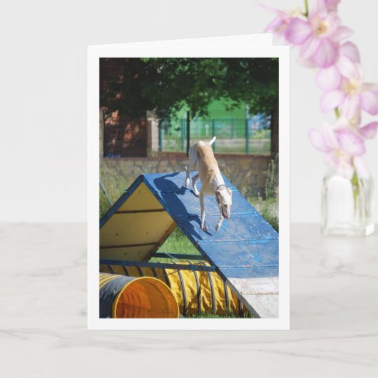 Carte Chien à l'école d'entraînement (Orchidée)