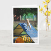 Carte Chien à l'école d'entraînement (Fleur jaune)