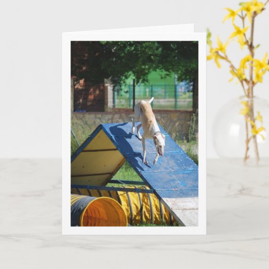 Carte Chien à l'école d'entraînement (Fleur jaune)