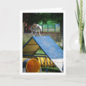 Carte Chien à l'école d'entraînement (Devant)