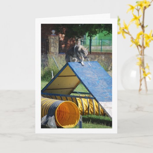 Carte Chien à l'école d'entraînement (Fleur jaune)