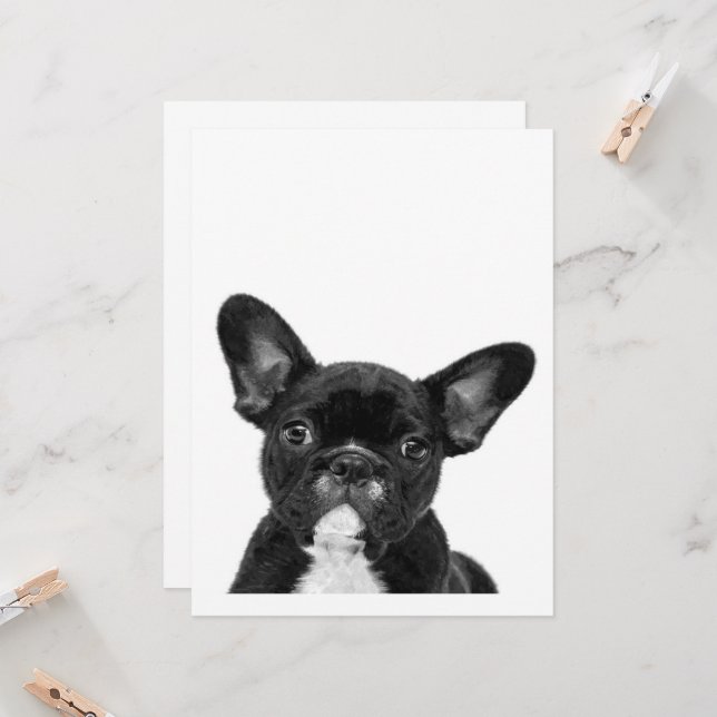 Carte Chien adorable | Black French Bulldog Face (Devant/Arrière en situation)