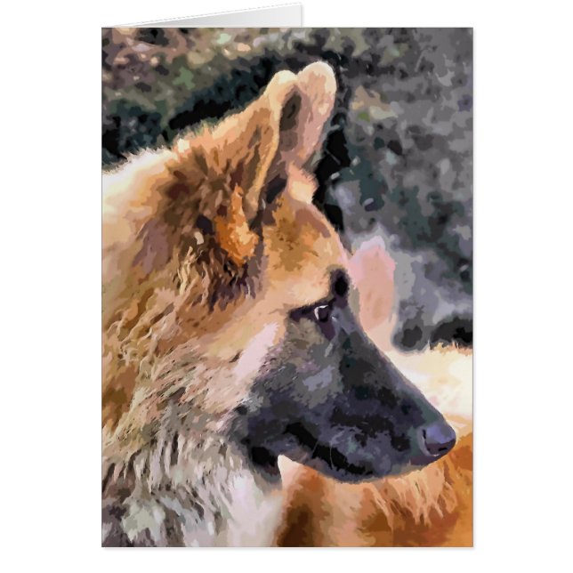 Carte CHIEN ALLEMANDE SHEPHERD (Devant)