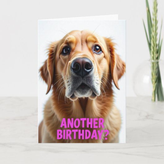 Carte Chien Âme Douce (Devant)