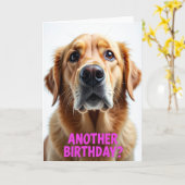 Carte Chien Âme Douce (Fleur jaune)