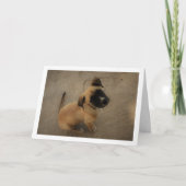 Carte Chien amoureux (Devant)