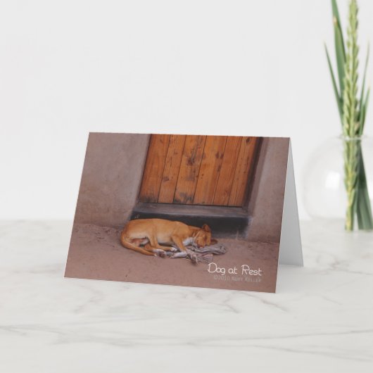 Carte Chien au repos (Devant)